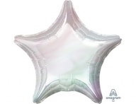  /   19&quot; Iridescent