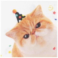    25 12