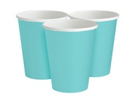  Robin's Egg Blue 270 8