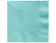 Robin's Egg Blue 33 16