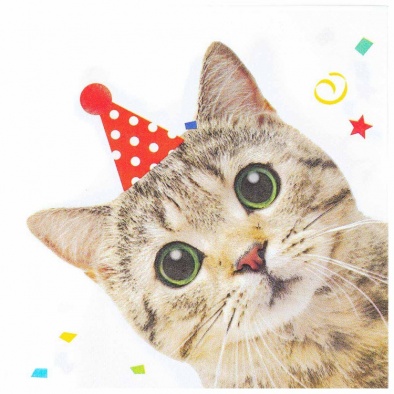    33 12